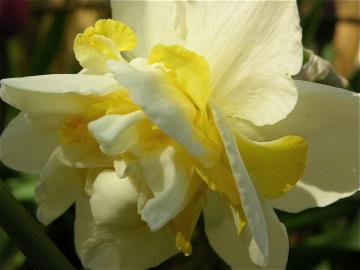 dscn4815.jpg