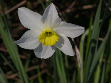 dscn4821.jpg