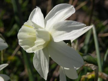 dscn4833.jpg