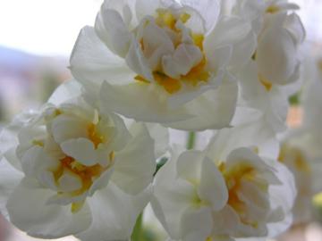 dscn9418.jpg