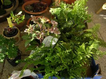 dscn9448.jpg