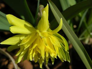 dscn9474.jpg
