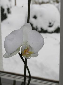 IMG_7125