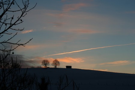 IMG_9388